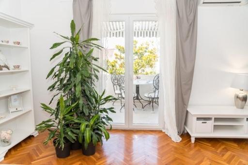 Apartments Doris ザダル エクステリア 写真